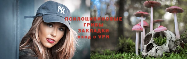 а пвп мука Армянск